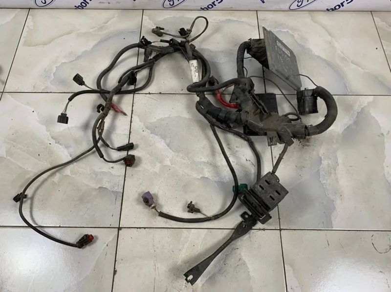 Проводка подкапотная Ford Fusion 2006-2012 1360194 CBK 1.6