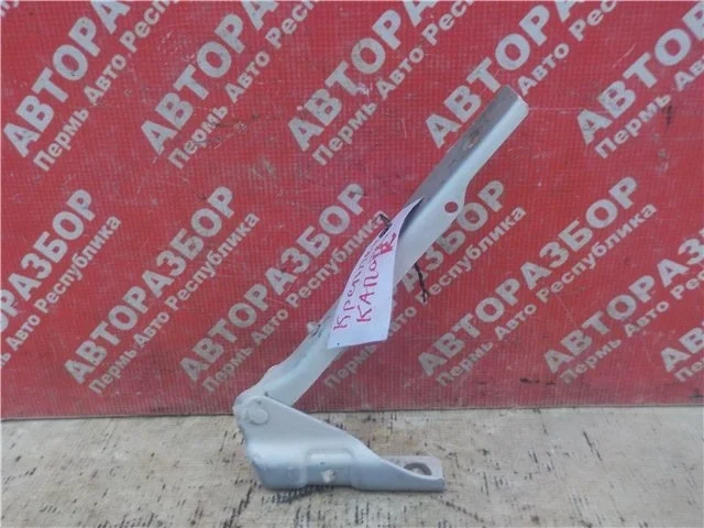 Петля капота Volkswagen Polo 2011 6R0823302, передняя правая