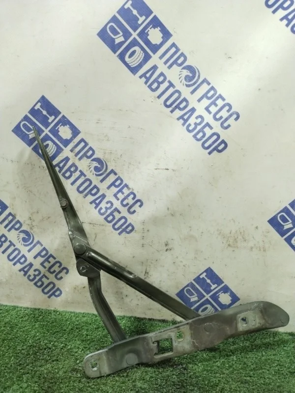 Петли багажника Bmw E39 2000 41628203277 СЕДАН 2.5 M51 ДИЗЕЛЬ, левые