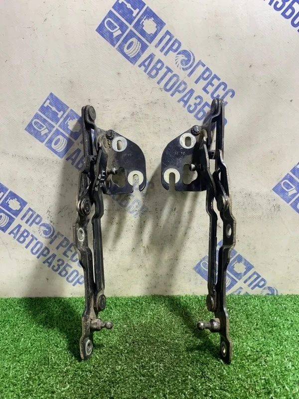 Петля крышки багажника Volkswagen Passat B5 2001 3B5827301B СЕДАН 2.0 AZM