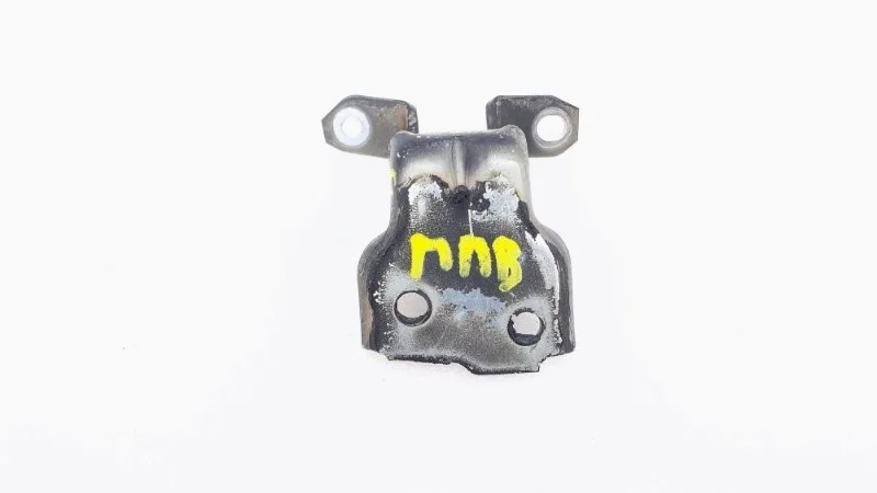 Петля двери Suzuki SX4 2010