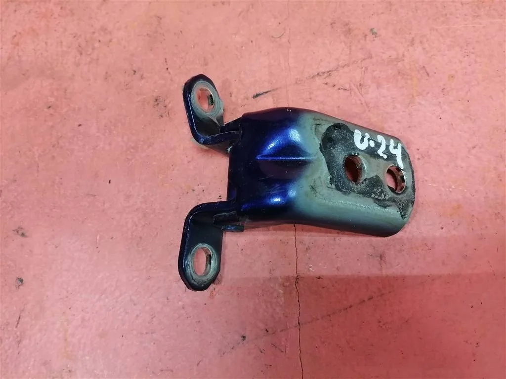 петля двери Nissan Juke (F15) 2011>