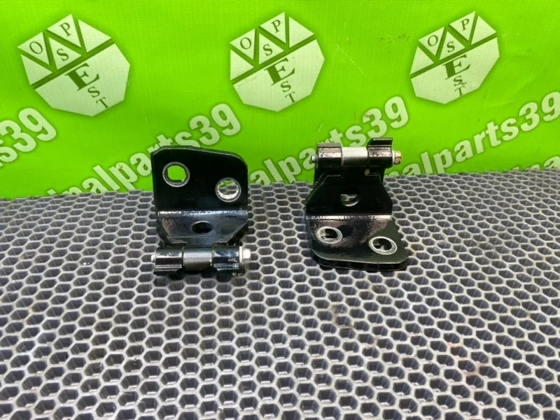 Петли дверей Bmw X3 2005 E83