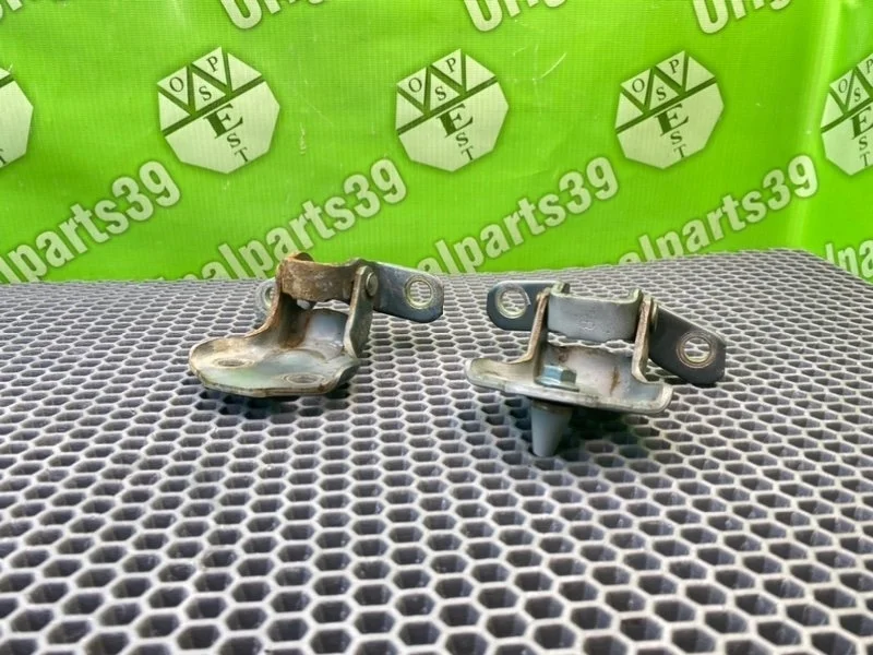 Петли дверей Mazda MPV 2001 LW5W
