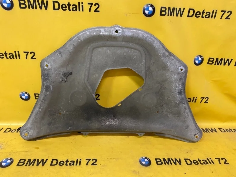 ПЛАСТИНА ЖЕСТКОСТИ Bmw 7 2005 31116767228 E66 N73B60, передняя