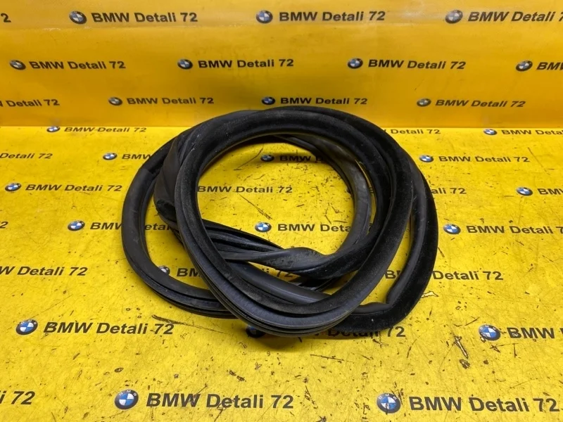 Уплотнитель двери Bmw X5 2008 51767333814 E70 N52B30