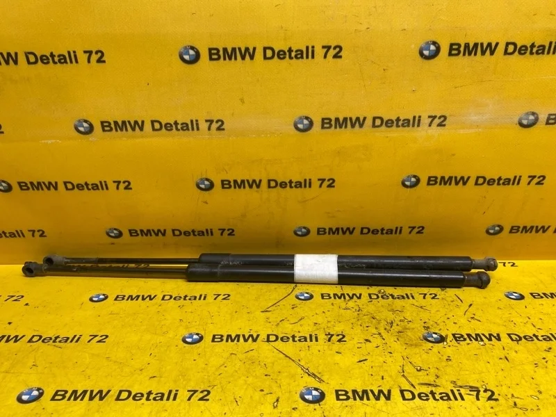 Амортизатор крышки багажника Bmw X5 2004 51248402405 E53 M54B30