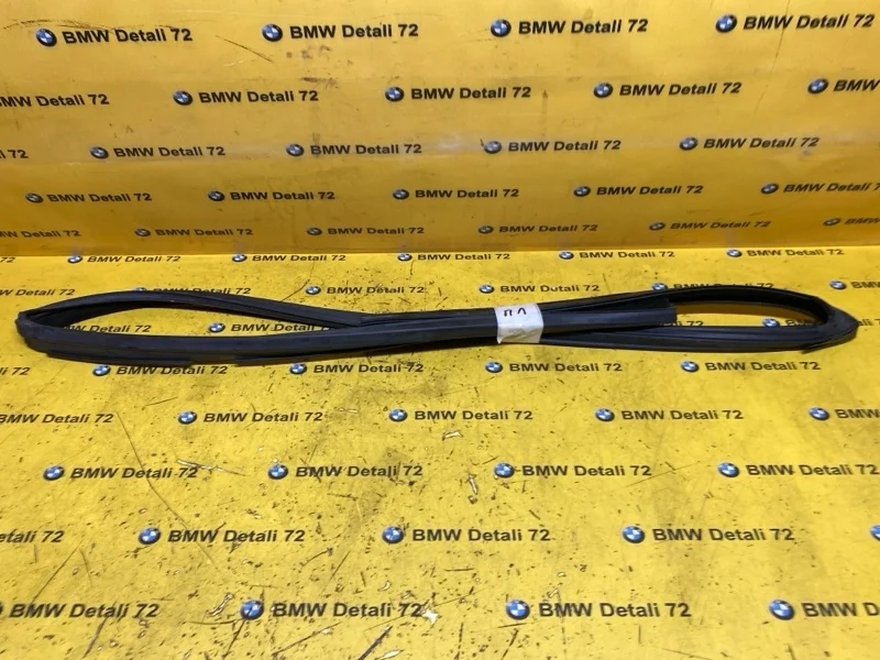 Направляющая стекла двери Bmw X5 2006 51327020577 E53 M54B30, передняя левая