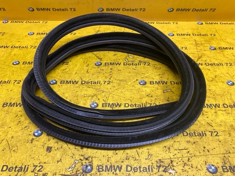 Уплотнитель двери Bmw 5 2005 51727122433 E60 N52B25, передний