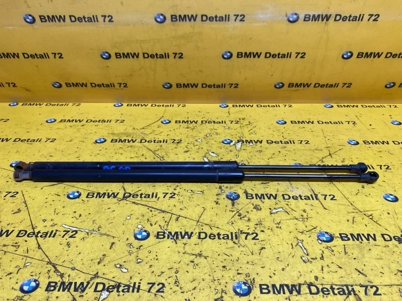 Амортизатор крышки багажника Bmw X5 2006 51248402405 E53 M54B30
