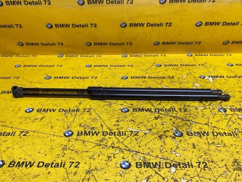 Амортизатор крышки багажника Bmw X5 2006 51248402405 E53 M54B30