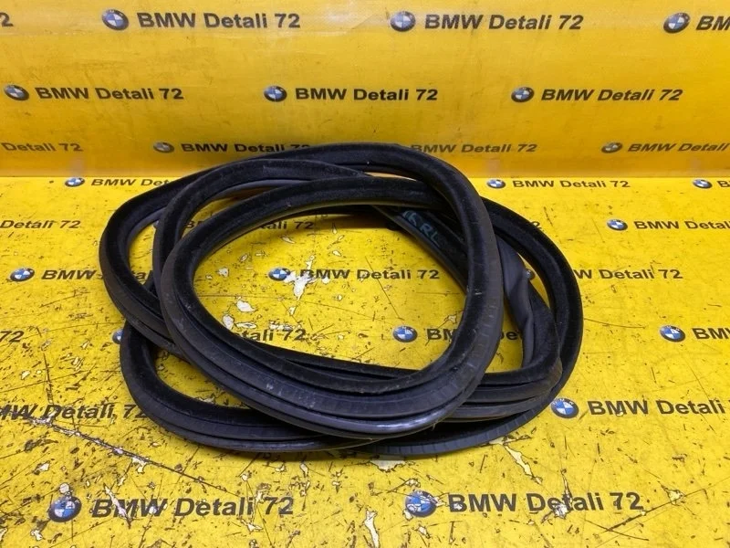 Уплотнитель двери Bmw X5 2008 51727025580 E70 N52B30, задний