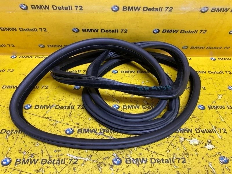 Уплотнитель двери Bmw X5 2008 51727025580 E70 N52B30, задний