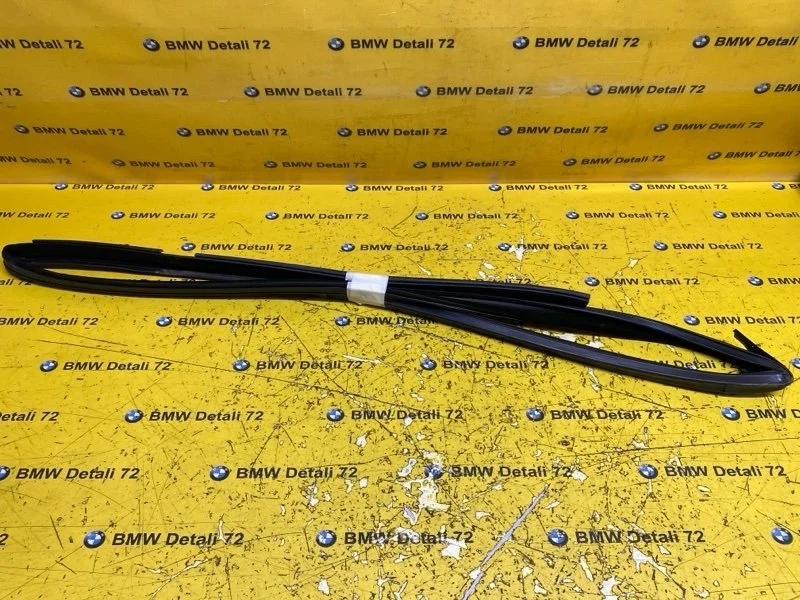 Направляющая стекла двери Bmw X5 2003 51327020577 E53 M54B30, передняя левая