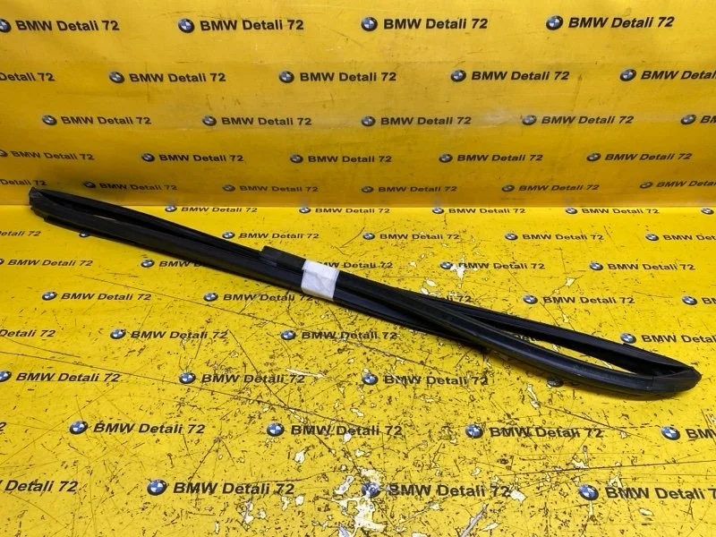 Направляющая стекла двери Bmw X5 2003 51327020577 E53 M54B30, передняя левая