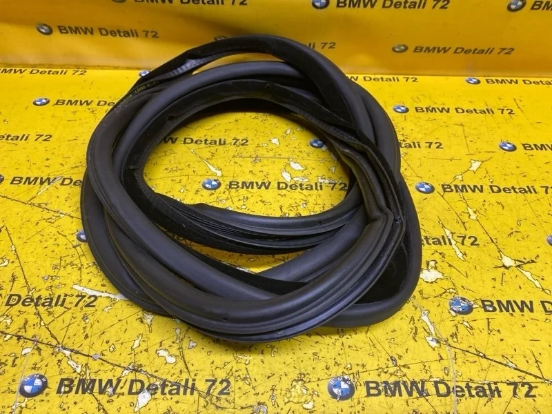 Уплотнитель двери Bmw X5 2003 51727025580 E53 M54B30, задний