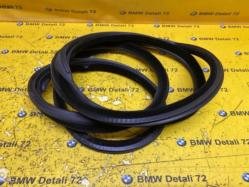 Уплотнитель двери Bmw X5 2003 51727025580 E53 M54B30, задний
