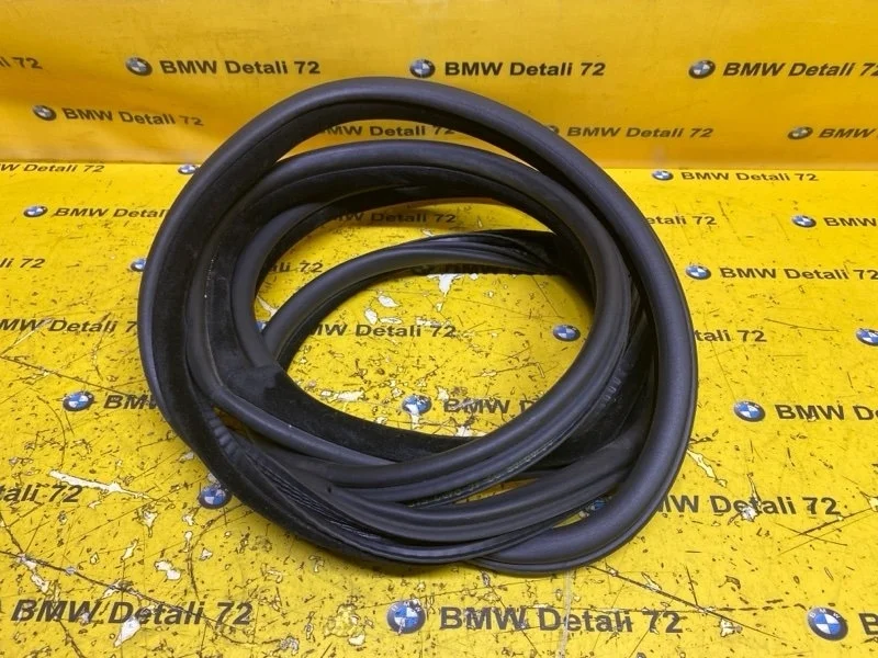 Уплотнитель двери Bmw X5 2003 51727025580 E53 M54B30, задний