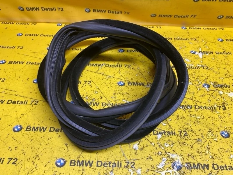 Уплотнитель двери Bmw X5 2003 51727025580 E53 M54B30, задний