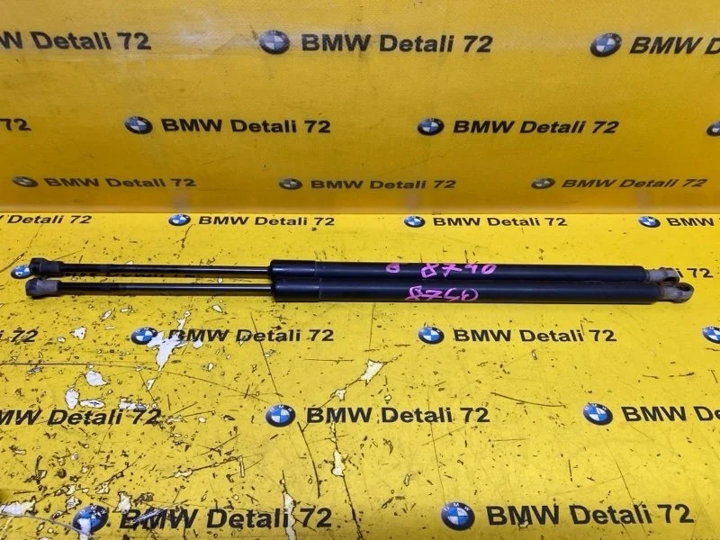 Амортизатор крышки багажника Bmw X5 2005 51248402405 E53 M54B30
