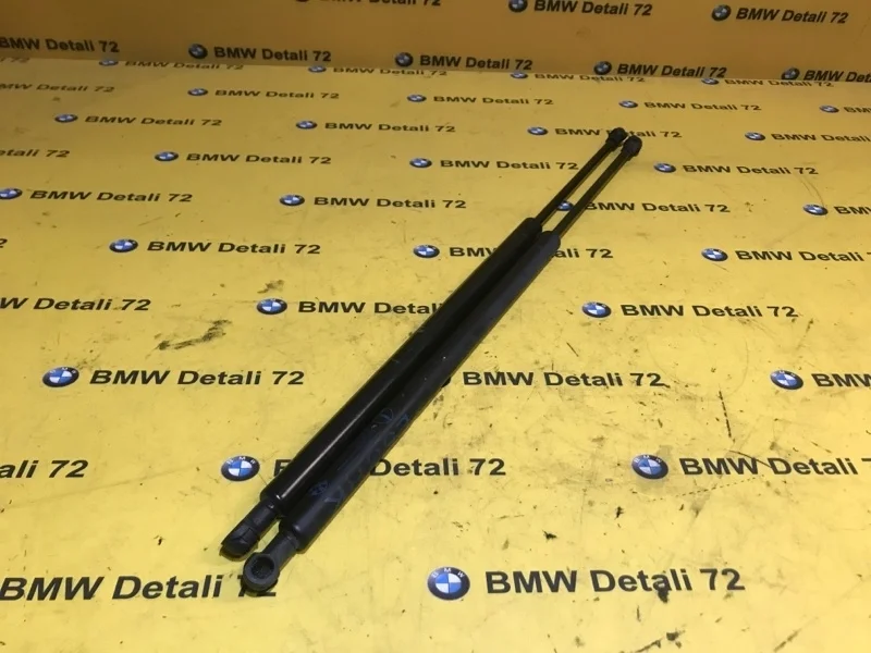 Амортизатор крышки багажника Bmw X5 2004 51248402405 E53 M54B30