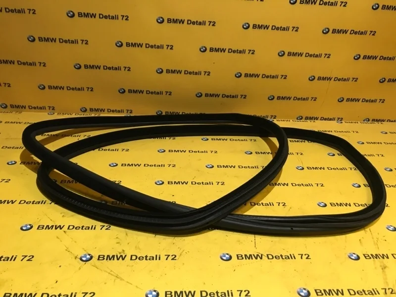 Уплотнитель двери Bmw X5 2004 51727025580 E53 M54B30, задний