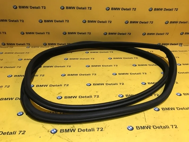 Уплотнитель двери Bmw X5 2004 51727025580 E53 M54B30, задний