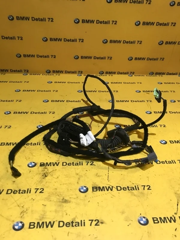 Проводка двери Bmw 5 2006 E60 N52B30, передняя правая
