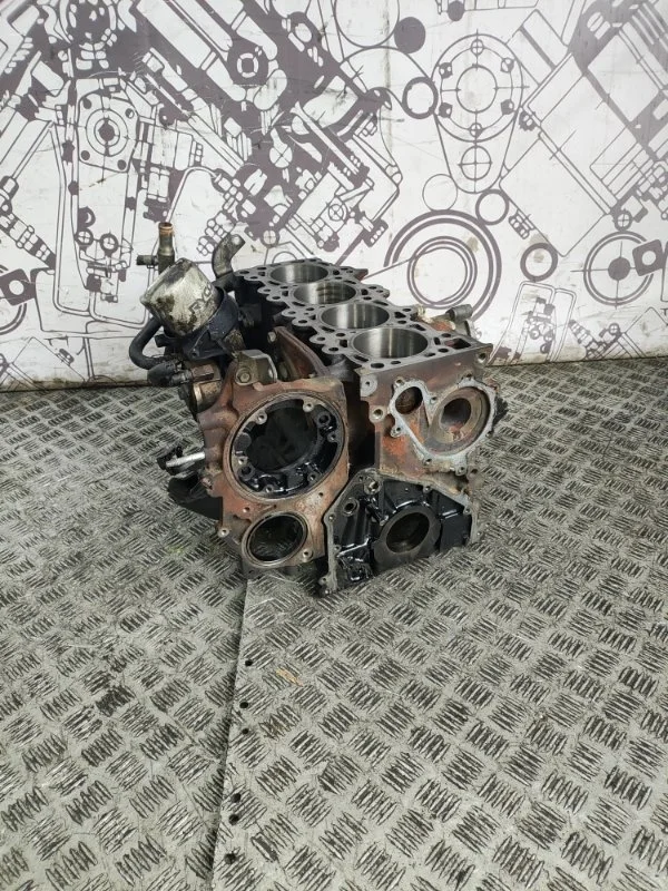 Блок двигателя Nissan Pathfinder 10102EB30A R51 YD25 DDTI