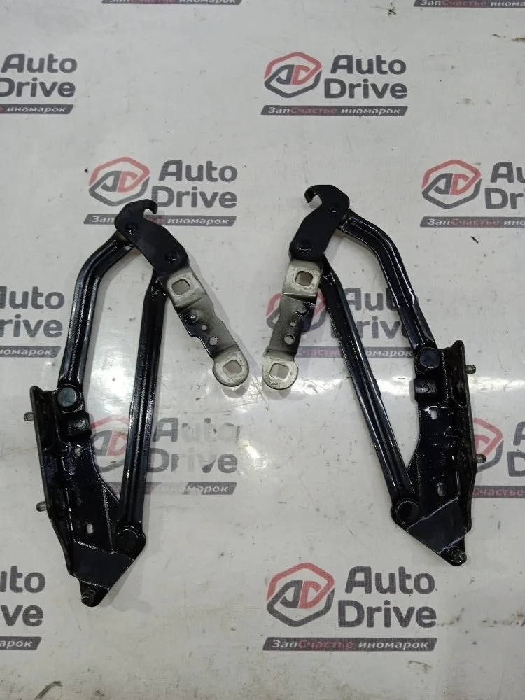 Петля крышки багажника RENAULT MEGANE 2006