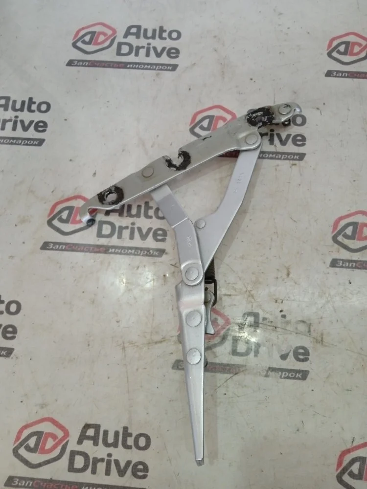 Петля крышки багажника volkswagen JETTA 2010