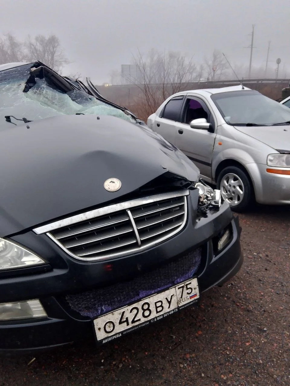 Абсорбер переднего бампера SsangYong Kyron DJ rest 2007-2016 2.3 (150Hp) (G23D) 4WD AT