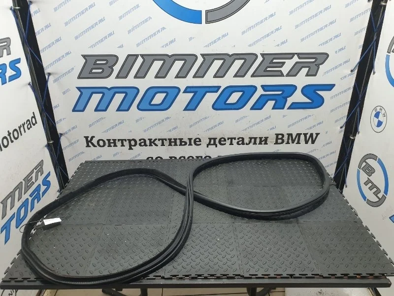 Уплотнитель двери Bmw Х5 51727289610 F15 N63B44B, передний