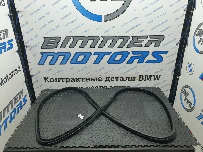 Уплотнитель двери Bmw Х5 51727289610 F15 N63B44B, передний
