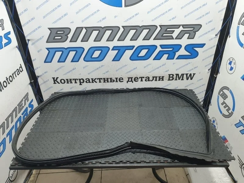 Уплотнитель двери Bmw 535I 51767226395 F07 N55B30A, передний левый