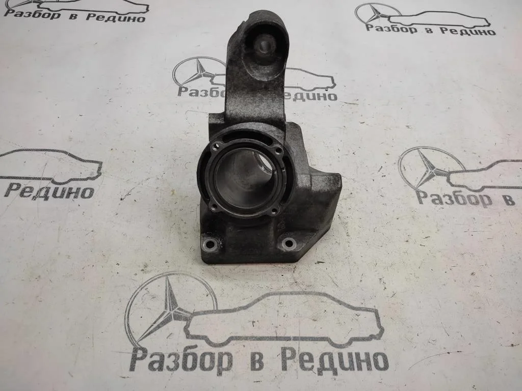 Лапа левая Mercedes-Benz