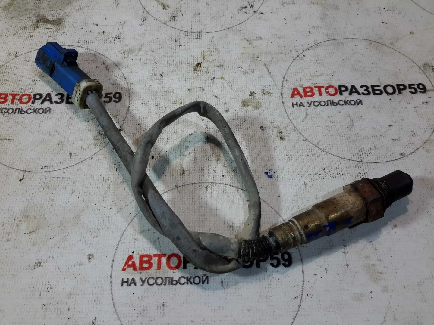 Датчик кислородный Ford Focus 2