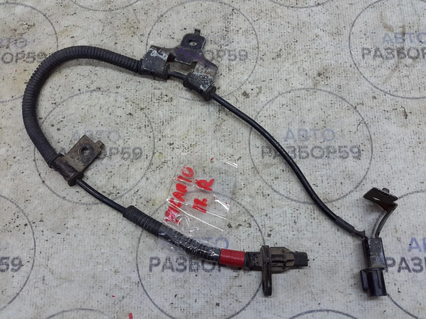 Датчик ABS KIA Picanto 1