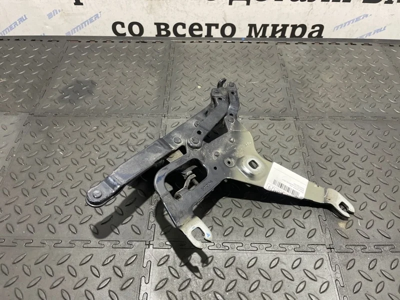 Петля капота Bmw X5 2014 41007381781 F15 N63B44B, левая