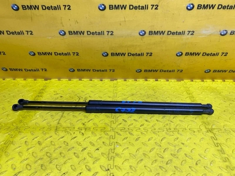 Амортизатор крышки багажника Bmw X5 2005 51248402405 E53 M54B30