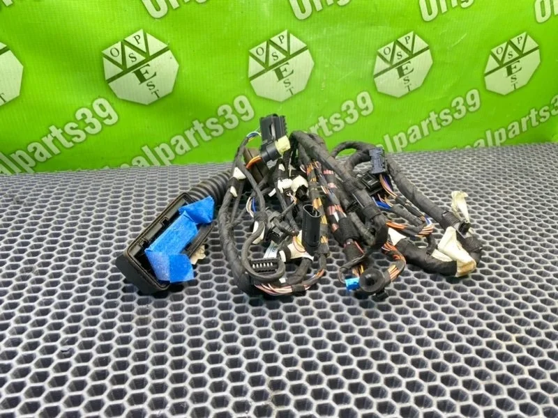 Проводка двери BMW X6 2014 F16