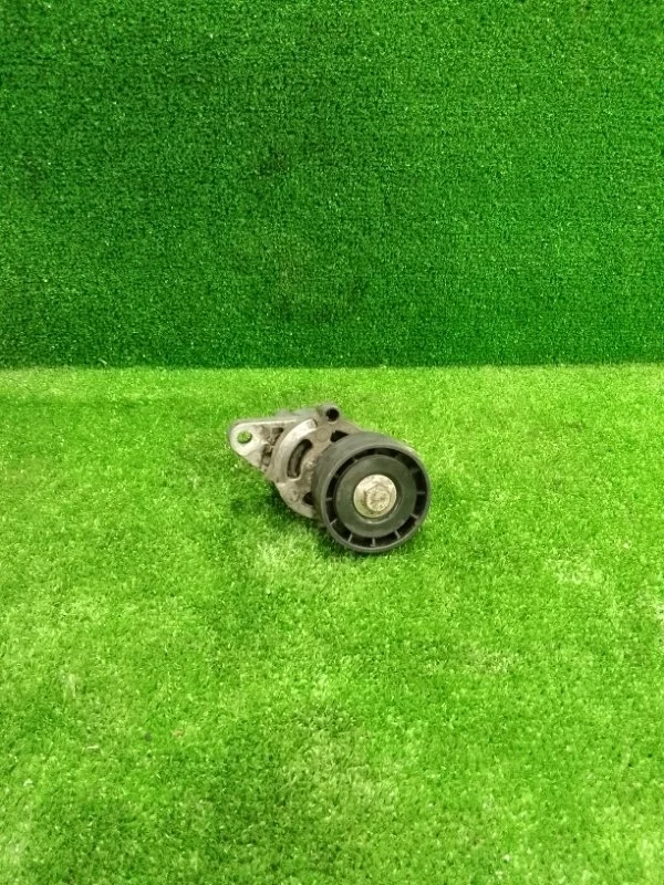 Ролик натяжной Renault Logan 1