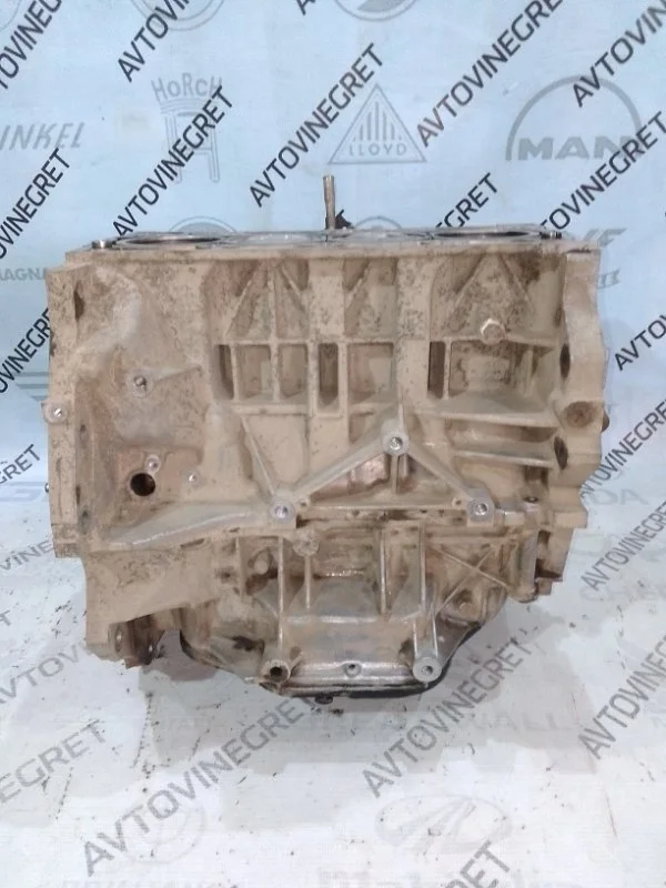 Блок двигателя Nissan Qashqai J10 MR20DE
