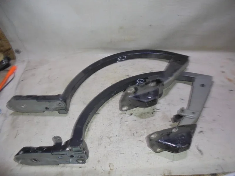 Петля багажника Citroen C5 2 2008-2016 8613C6 RD, задняя левая