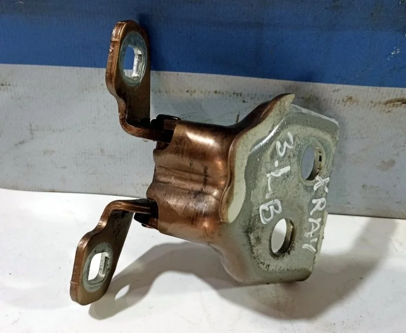 Петля двери Lada X-Ray 6001546883, задняя