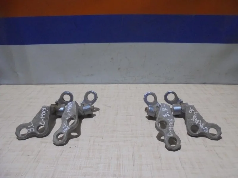 Петля Ford C-Max 5012215, задняя правая