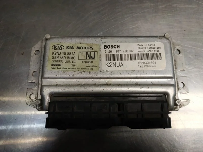 Блок управления двигателем Kia Spectra 2007 SD