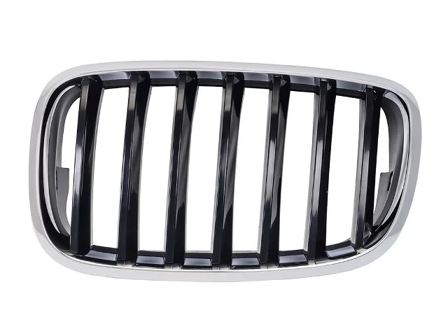 Решетка переднего бампера левая BMW X5 E70 2006-2010, X6 E71 / E72 2007-2012