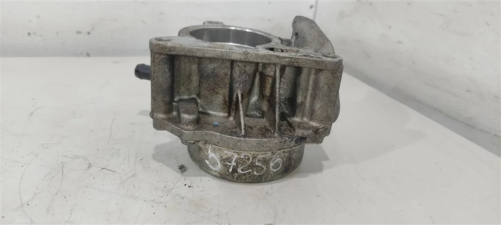 Насос вакуумный 06H145100AB  1.8 TFSI Skoda