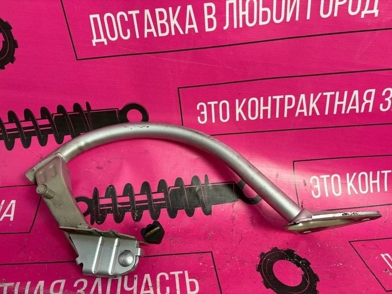 Петля багажника правая  Passat CC B6